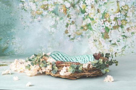 Floral branches and nest Newborn digital photography background / backdropの写真素材