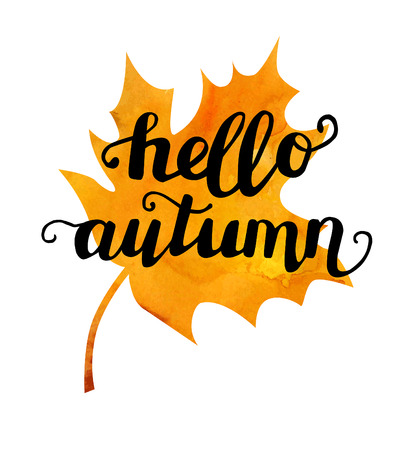 Vector illustration of maple leaf with hand written phrase Hello autumn. Hand written slogan on bright watercolor texture isolated on white background for your poster, flyer or card designのイラスト素材