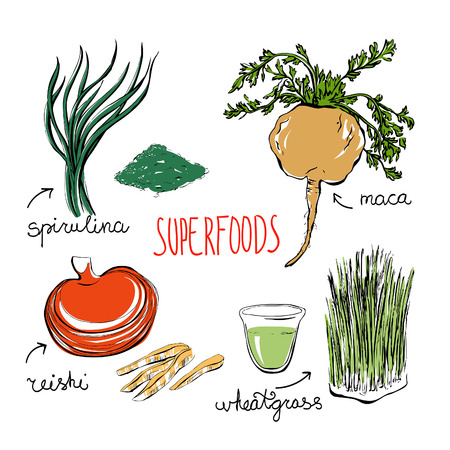 Set of vector doodle illustrations of the most popular super foods. Spirulina, reishi mushroom, wheatgrass, peru maca. Color hand drawn objects isolated on white background.のイラスト素材
