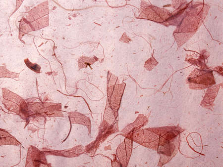 Translucent handmade grainy paper with organic pink surface                                                              の写真素材