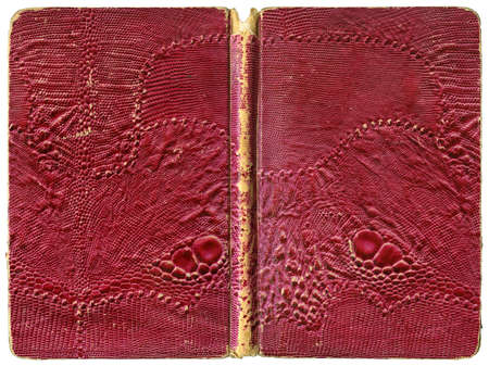Open book or notebook - tattered vintage cover with artificial lizard leather - XL sizeの写真素材