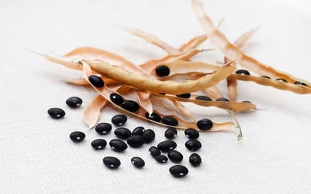 dry beansの写真素材