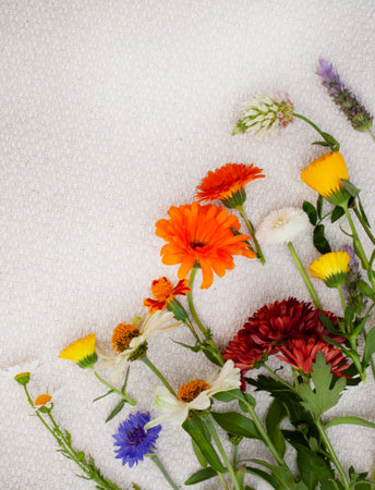 mixture of wildflowers on rustic surface with copy spaceの写真素材