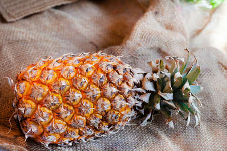 Old and over ripe pineappleの写真素材