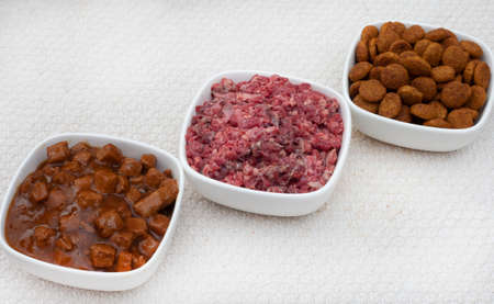 Selection of dogfood options, raw pets mince, chunks in gravy and dry kibbles