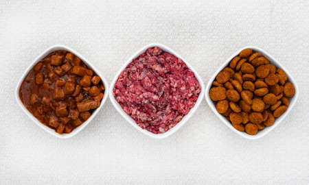 Selection of dogfood options, raw pets mince, chunks in gravy and dry kibblesの写真素材