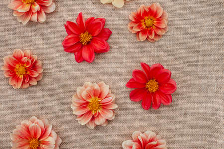 Flat Lay of orange dahlia flowers on rustic burlap surface with copy space