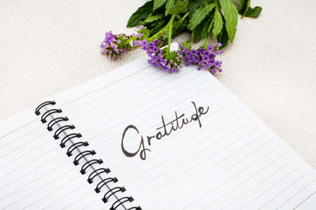 Notebook with the word Gratitude written on it. Placed on a rustic surfaceの写真素材