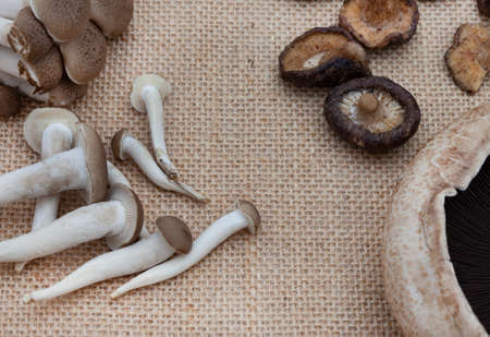 Mixture of mushrooms on rustic surface with copy spaceの写真素材