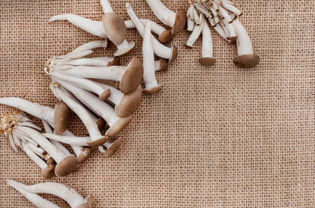 Uncooked Shimeji mushrooms on rustic surfaceの写真素材