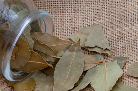 Dried whole bay leaves on rustic background with copy spaceの写真素材