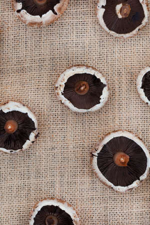 flat lay of Portobello mushrooms on rustic burlap surface with copy spaceの写真素材