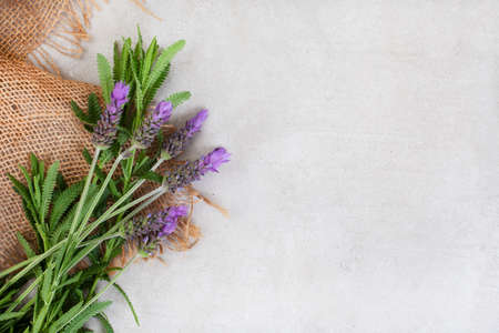 mottled grey with burlap and fresh lavender and copy spaceの写真素材