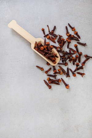 Wooden scoop with whole cloves on mottled grey surface with big copy spaceの写真素材