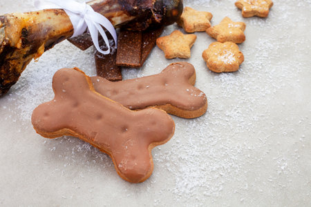 Dog treats flat lay on grey with imitation snow and copy space, rustic and cozy feelの写真素材
