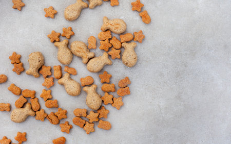 Cat treats in different shapes on mottled grey surface with copy space