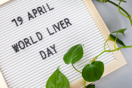 world liver day 19 April in lettering on notice boardの写真素材