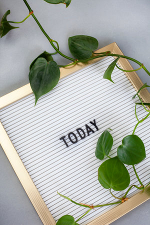 Today, the word written on a letter board with golden frame on greyの写真素材