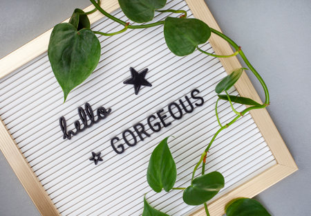 letter board with Hello gorgeous written on it, with golden frame and leaves on greyの写真素材