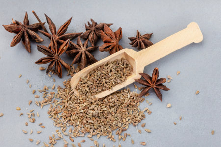 Aniseed and pods on grey surface with wooden scoopの写真素材