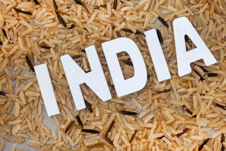 word india made of white wooden letters on brown rice background.の写真素材