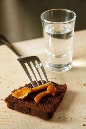Russian vodka with a snack rye bread and pickled mushroomの写真素材