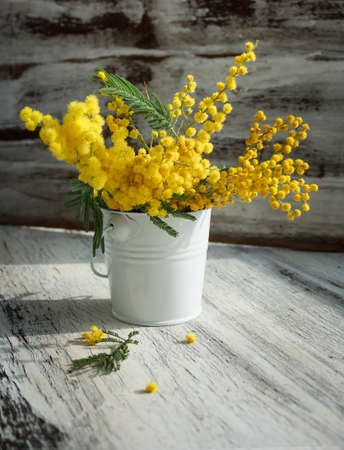 mimosa in enameled bucket on an old rustic backgroundの写真素材