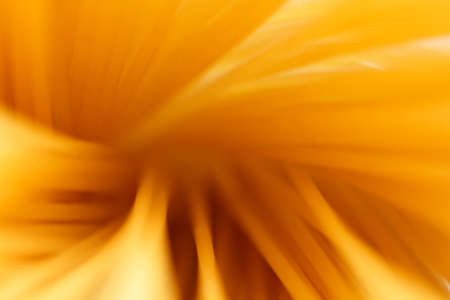 abstract yellow backgroundの写真素材