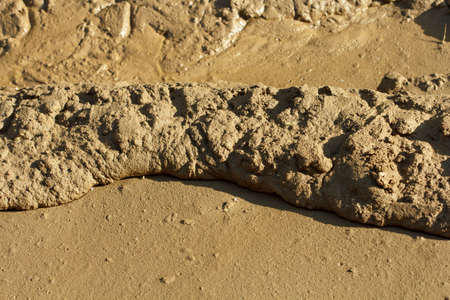 wet soil texture