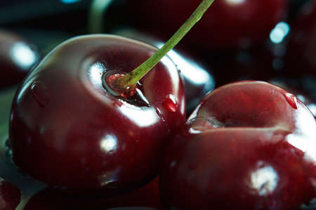 cherries with drops of water, close up , toned photoの写真素材