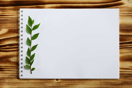 blank notebook for text with a green branch on a wooden background, copy space, top viewの写真素材