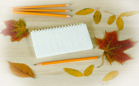 notebook with pencils and autumn leaves of different species on the surface of the tableの写真素材