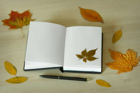 Open notebook with a pen on a desk surrounded by autumn leavesの写真素材