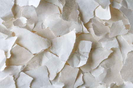 torn paper textureの写真素材