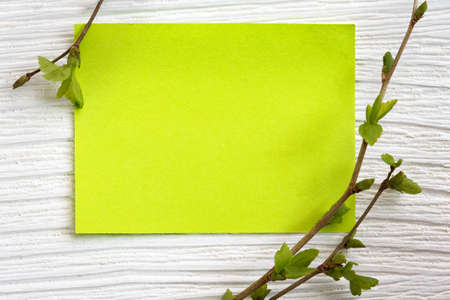 sheet of paper with a green branch with spring leaves on a white wooden background