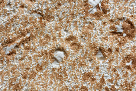 Texture of traditional Armenian thin flat bread,  lavashの写真素材