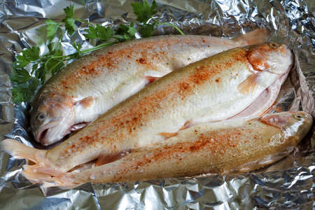 Amber trout with spices, prepared for baking in foilの写真素材