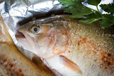 Amber trout with spices, prepared for baking in foilの写真素材