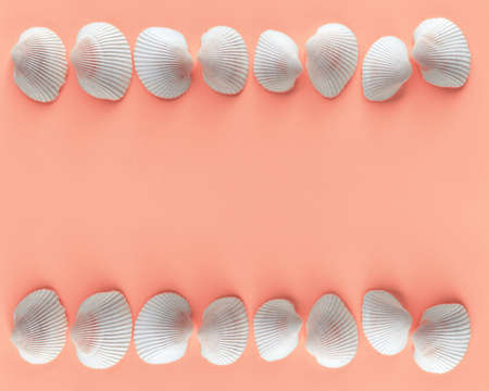 border of white shells on a pink backgroundの写真素材