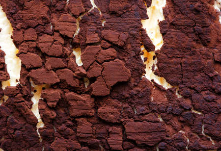 chocolate cake surface, food background textureの写真素材