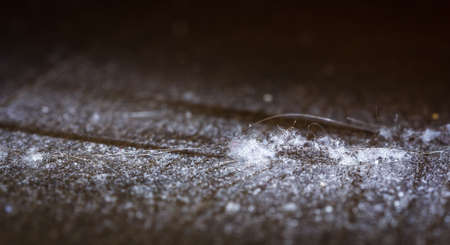 house dust on the floor, macroの写真素材