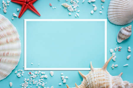 frame with seashells on bright turquoise background