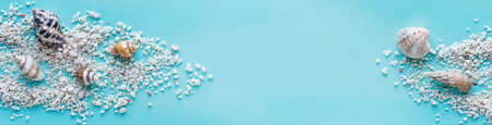 seashells scattered on a turquoise background wiht copy spaceの写真素材