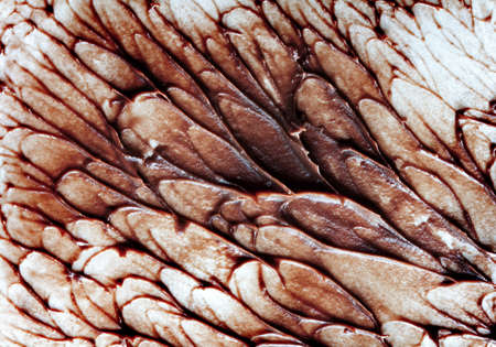 chocolate cream texture as backgroundの写真素材