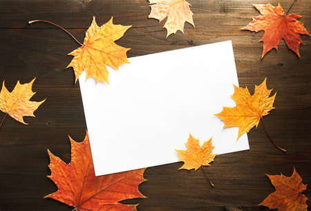 dry autumn leaves on wooden background with a sheet of paper, copy space, top view