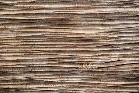 saw cut wood macro texture for background