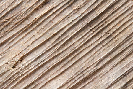 saw cut wood macro texture for backgroundの写真素材