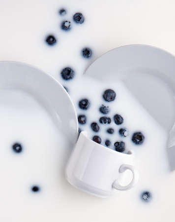 blueberries in a white cup with plates scattered in milkの写真素材
