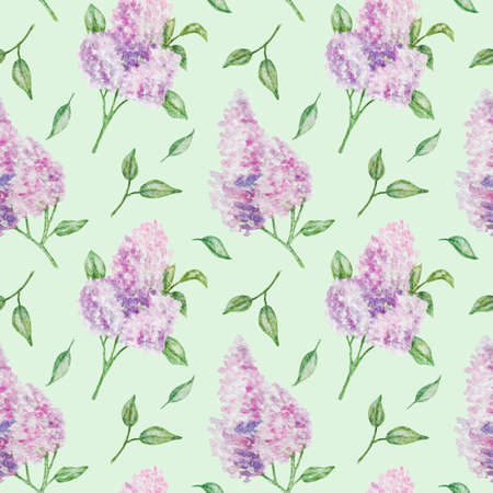 spring bright seamless patern with watercolor flowers lilac on light green backgroundの写真素材