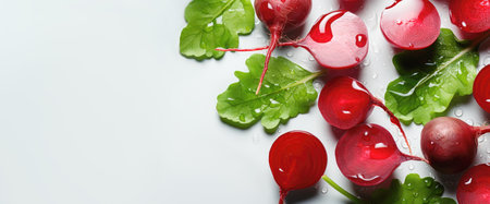 beetroot with green leaves with water drops on a white background, banner with copy spaceの素材